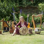 Laurelle instruments 1