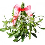 Hanging green mistletoe with a red bow